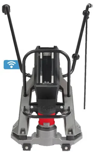Rigla vibranta