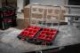 Organizator ingust PACKOUT - Milwaukee