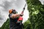 Foarfeca telescopica pentru crengi M18 - Milwaukee M18 BLTS-0