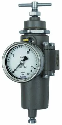 Filtru regulator din Inox, reversibil, descarcare proprie, purja manuala, manometru din inox