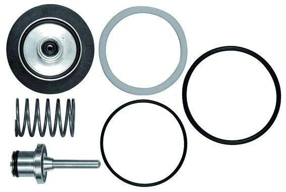Set piese de schimb pentru regulator presiune si filtru regulator din inox