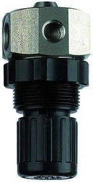 Regulator presiune din Inox, pentru medii lichide, fara manometru