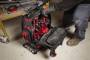 Ghiozdan PACKOUT structurat - Milwaukee