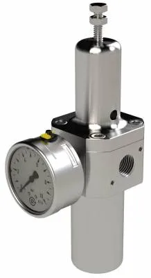 Filtru regulator cu manometru, reversibil, din Inox