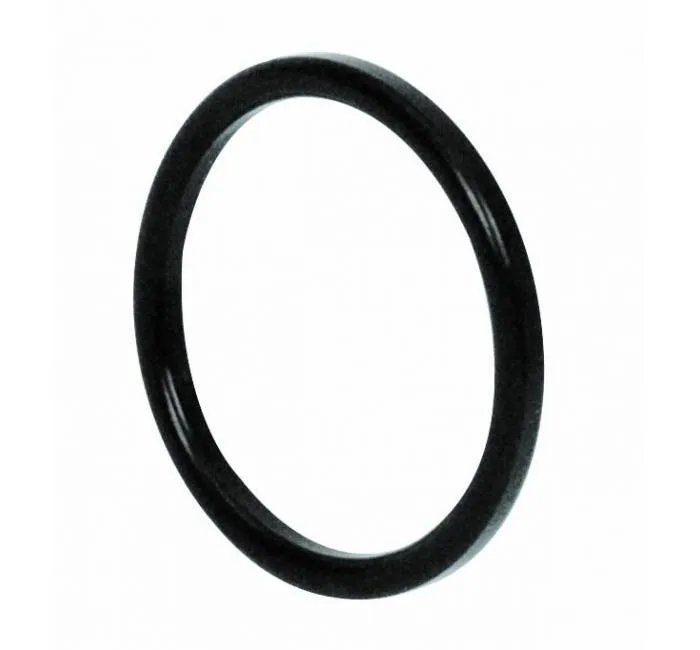 O-ring pentru conector DIN 11851