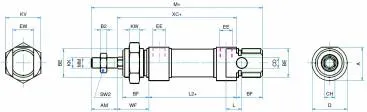 Micro cilindru dubla actiune magnetic anti-rotatie cu tija hexagonala
