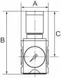Regulator presiune cu manometru, G 1&QUOT;, 0,1 - 1 bar, 14200 l/min, seria Future
