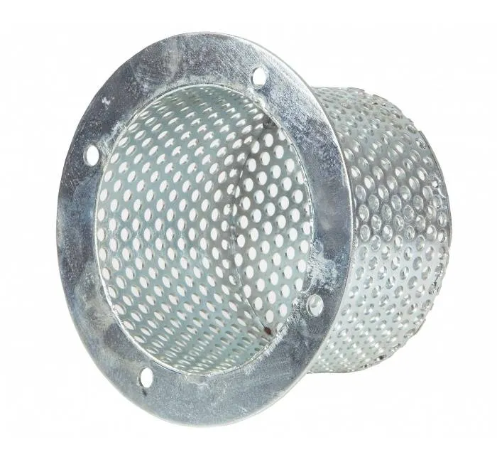 Filtru pentru supapa de sens cu disc si flansa