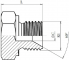 Dop cu filet exterior 60° 2&QUOT; BSP