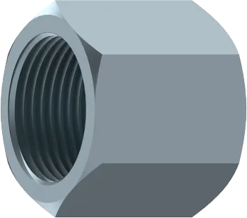 Dop cu filet interior BSP