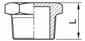 Dop cu hexagon extern, filet exterior R 2 1/2&QUOT;, inox AISI 316