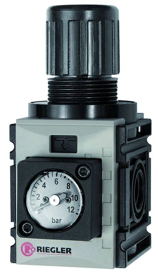 Regulator presiune cu furnizare de presiune constanta, manometru compact, seria Future Mini