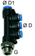 Distribuitor T push-in cu iesiri multiple si filet cilindric cu O-ring, egal sau redus