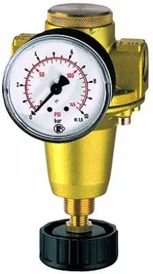 Regulator presiune cu furnizare de presiune constanta, include manometru, seria Heavy Duty