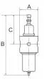 Filtru regulator din Inox, reversibil, descarcare proprie, purja manuala, manometru din inox
