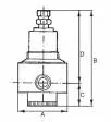 Regulator presiune din Inox, reversibil, descarcare proprie, manometru din inox