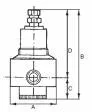 Regulator presiune din Inox, reversibil, descarcare proprie, manometru din inox